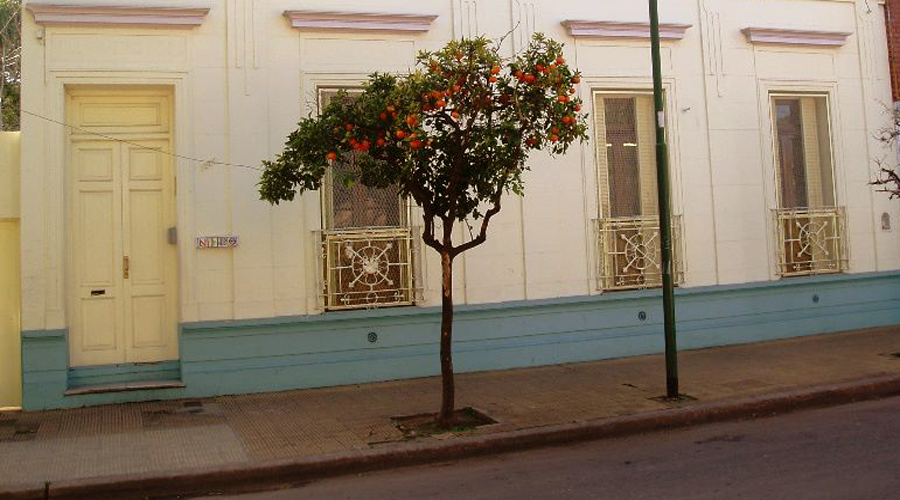 Jardin de infantes Nido 1