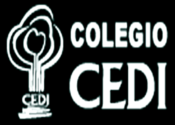 CEDI Educacion y Desarrollo Integral 1